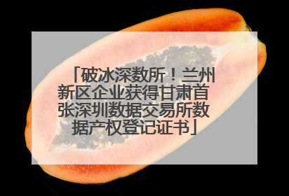 破冰深数所！兰州新区企业获得甘肃首张深圳数据交易所数据产权登记证书