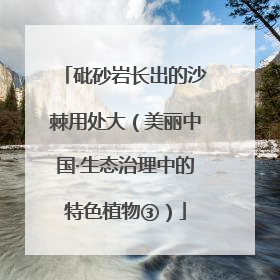 砒砂岩长出的沙棘用处大（美丽中国·生态治理中的特色植物③）