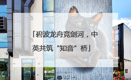 碧波龙舟竞剑河，中英共筑“知音”桥