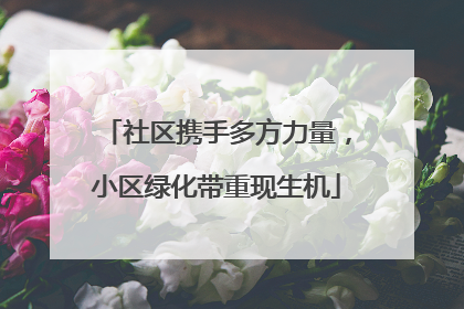社区携手多方力量，小区绿化带重现生机