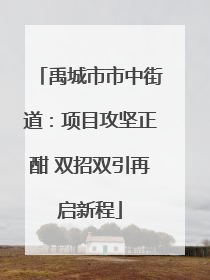 禹城市市中街道：项目攻坚正酣 双招双引再启新程