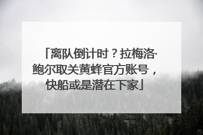 离队倒计时？拉梅洛·鲍尔取关黄蜂官方账号，快船或是潜在下家