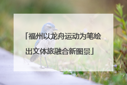福州以龙舟运动为笔绘出文体旅融合新图景