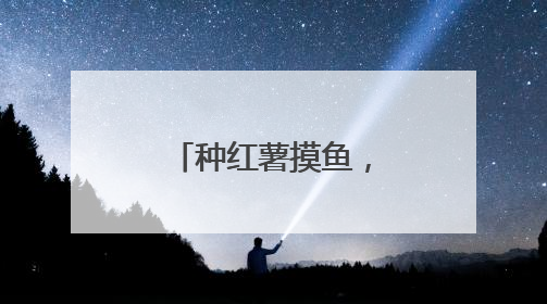 种红薯摸鱼，镇江这家学校在田间池畔见证学生快乐成长