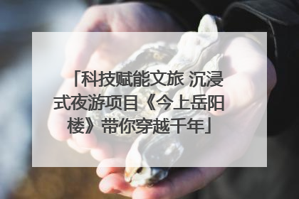 科技赋能文旅 沉浸式夜游项目《今上岳阳楼》带你穿越千年