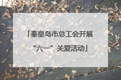 秦皇岛市总工会开展“六一”关爱活动