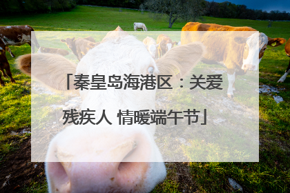 秦皇岛海港区：关爱残疾人 情暖端午节