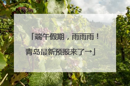 端午假期，雨雨雨！青岛最新预报来了→