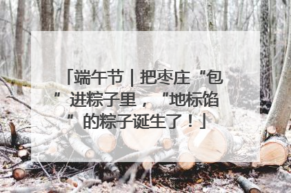 端午节｜把枣庄“包”进粽子里，“地标馅”的粽子诞生了！