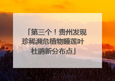 第三个！贵州发现珍稀濒危植物睡莲叶杜鹃新分布点