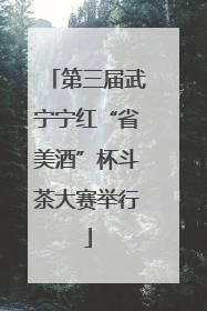 第三届武宁宁红“省美酒”杯斗茶大赛举行