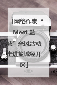 网络作家“Meet 盐城”采风活动走进盐城经开区