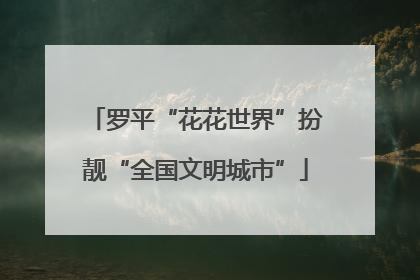 罗平“花花世界”扮靓“全国文明城市”
