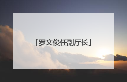 罗文俊任副厅长
