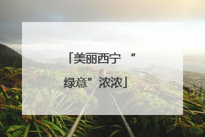 美丽西宁 “绿意”浓浓