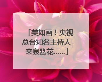 美如画！央视总台知名主持人来泉簪花……