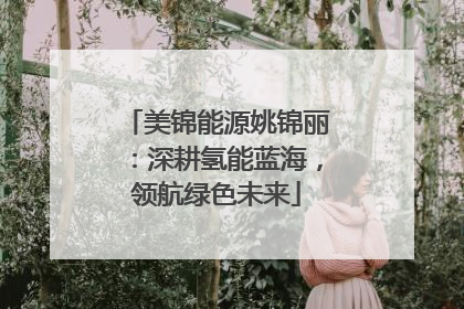 美锦能源姚锦丽：深耕氢能蓝海，领航绿色未来
