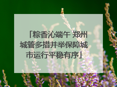 粽香沁端午 郑州城管多措并举保障城市运行平稳有序