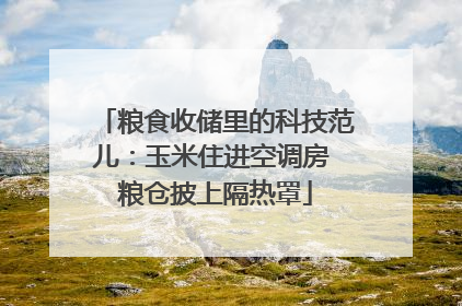 粮食收储里的科技范儿：玉米住进空调房 粮仓披上隔热罩