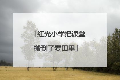 红光小学把课堂搬到了麦田里