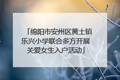 绵阳市安州区黄土镇乐兴小学联合多方开展关爱女生入户活动