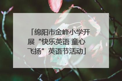 绵阳市金峰小学开展“快乐英语 童心飞扬”英语节活动