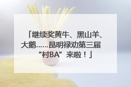 继续奖黄牛、黑山羊、大鹅……昆明禄劝第三届“村BA”来啦！