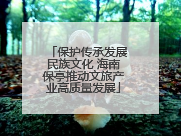 保护传承发展民族文化 海南保亭推动文旅产业高质量发展