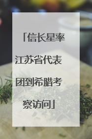 信长星率江苏省代表团到希腊考察访问