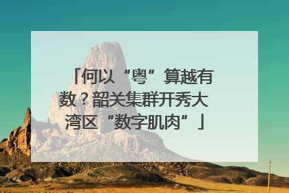 何以“粤”算越有数？韶关集群开秀大湾区“数字肌肉”