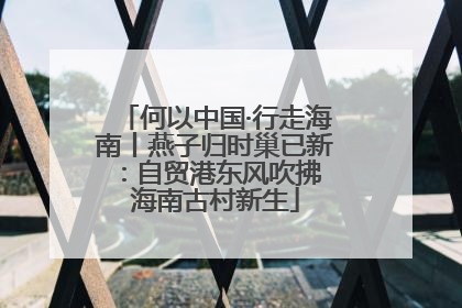 何以中国·行走海南丨燕子归时巢已新：自贸港东风吹拂 海南古村新生