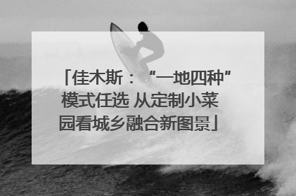 佳木斯：“一地四种” 模式任选 从定制小菜园看城乡融合新图景