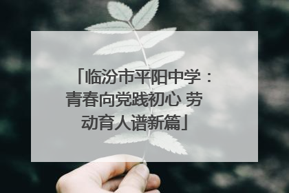 临汾市平阳中学：青春向党践初心 劳动育人谱新篇