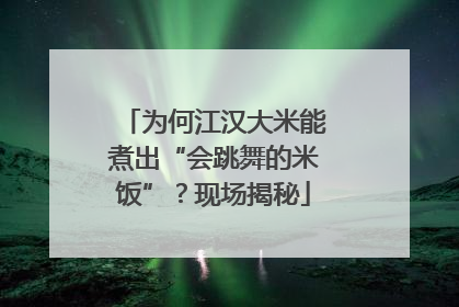 为何江汉大米能煮出“会跳舞的米饭”？现场揭秘