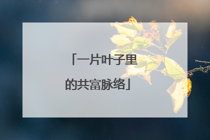 一片叶子里的共富脉络