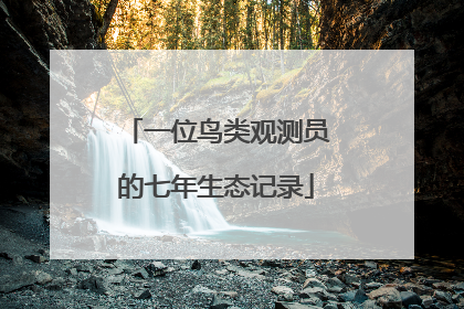 一位鸟类观测员的七年生态记录