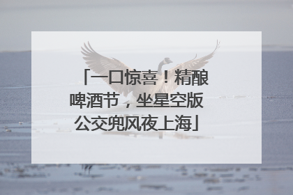 一口惊喜！精酿啤酒节，坐星空版公交兜风夜上海