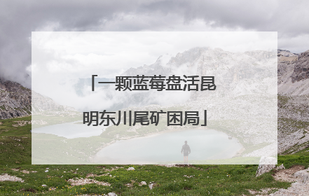 一颗蓝莓盘活昆明东川尾矿困局