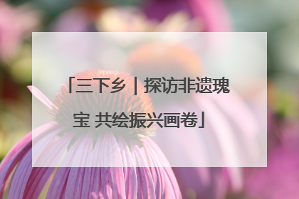 三下乡｜探访非遗瑰宝 共绘振兴画卷