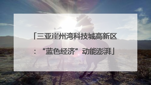 三亚崖州湾科技城高新区：“蓝色经济”动能澎湃