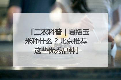 三农科普｜夏播玉米种什么？北京推荐这些优秀品种