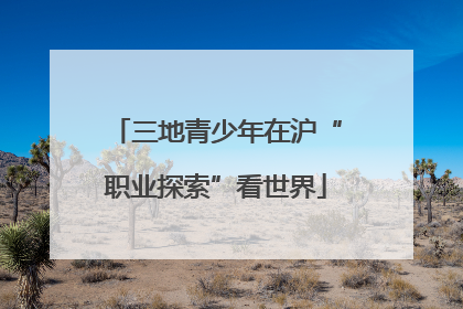 三地青少年在沪“职业探索”看世界