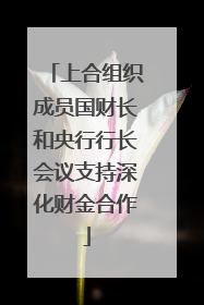 上合组织成员国财长和央行行长会议支持深化财金合作