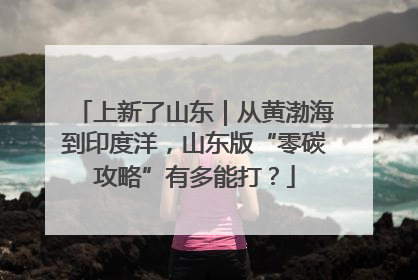 上新了山东｜从黄渤海到印度洋，山东版“零碳攻略”有多能打？