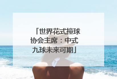 世界花式撞球协会主席：中式九球未来可期