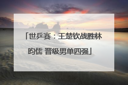 世乒赛：王楚钦战胜林昀儒 晋级男单四强