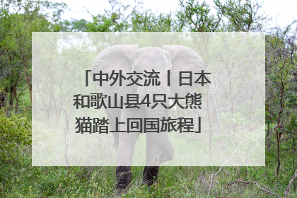 中外交流丨日本和歌山县4只大熊猫踏上回国旅程