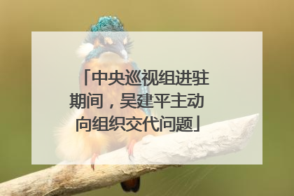 中央巡视组进驻期间，吴建平主动向组织交代问题