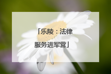 乐陵：法律服务进军营