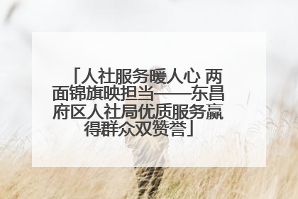 人社服务暖人心 两面锦旗映担当——东昌府区人社局优质服务赢得群众双赞誉